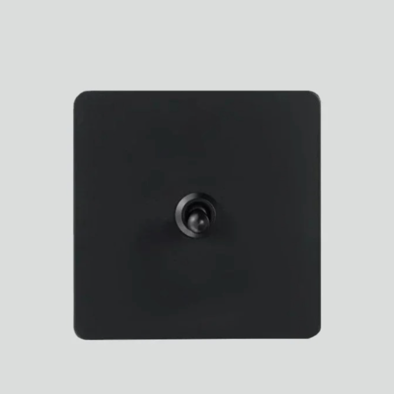 TENOUS BRUSHED LIGHT SWITCH